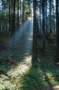 bezkicka0621_small.jpg