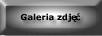 Galeria zdjec